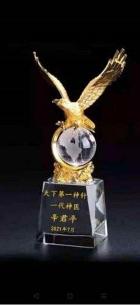 世界超级针灸泰斗 ——辛君平教授