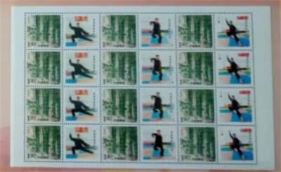 CCTV央视新闻报道一一当代武术名家庞国科