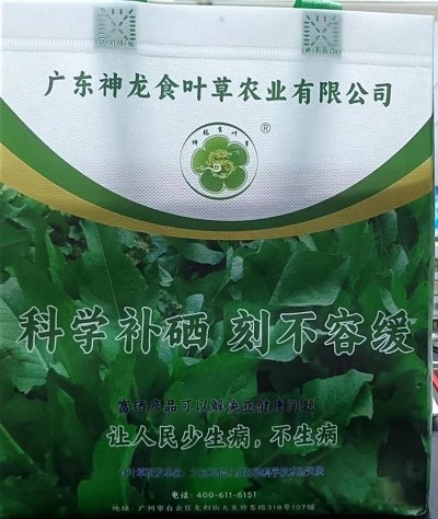 全国两会重点推荐 广东神龙食叶草农业有限公司董事长---孔岩