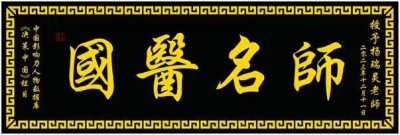 全国两会重点推荐  国医全科教授、合元堂创始人、糖尿病专家---杨瑞灵
