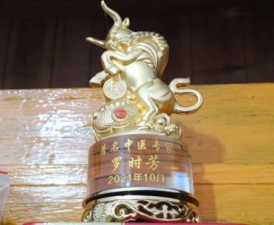 两会重点推荐  著名中医专家---罗时芳