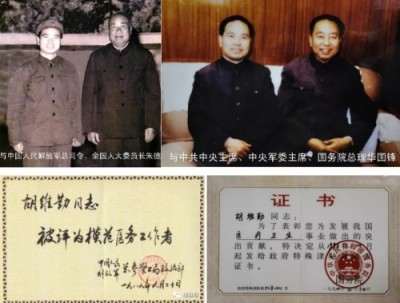 红墙御医—胡维勤担任代塞泌技术名誉顾问