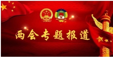 贯彻落实两会精神特别报道  中国著名国医大师——齐生亮