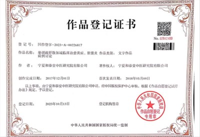 中医张志励：传统与现代交织的中医践行者