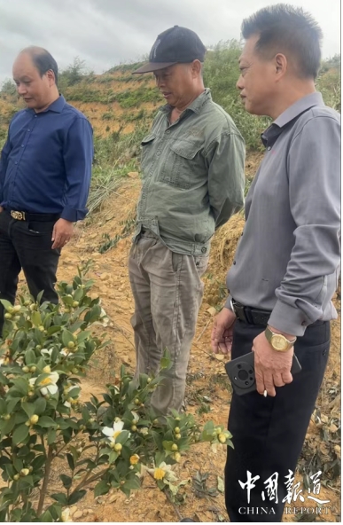 央视新闻特别报道：延平区政协携手企业，以科技赋能助力乡村全面振兴