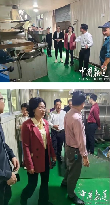 央视新闻特别报道：延平区政协携手企业，以科技赋能助力乡村全面振兴