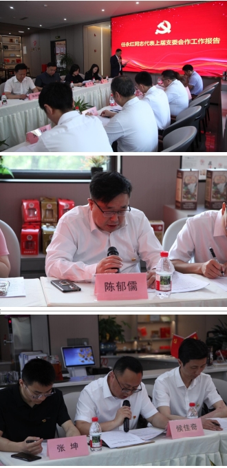 党建领航风帆劲 凝心聚力谱新篇 通江县农民工服务管理（重庆）支部委员会换届选举圆满完成