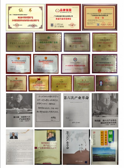 孔岩：以“三农”论述为引，拓富硒食叶草产业新途