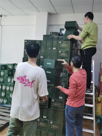 孔岩：以“三农”论述为引，拓富硒食叶草产业新途