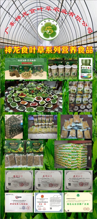 孔岩：以“三农”论述为引，拓富硒食叶草产业新途