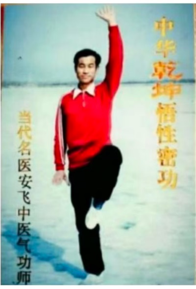 中国当代最美医生名中医——安飞