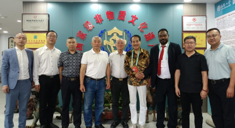 身在异国 情系中华——国家级非遗汤瓶八诊疗法传承人杨华祥对宁夏的赤诚与坚守