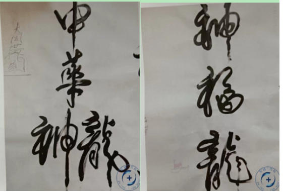 以创新之笔绘就“十五五”绿色答卷——记发明家、艺术家邱南海的环保实践与时代担当