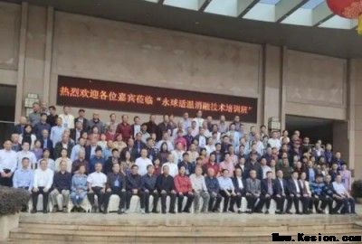 医路五十八载 匠心消融千疾 —— 医学领航者宁永球的传奇人生与医学革新之路