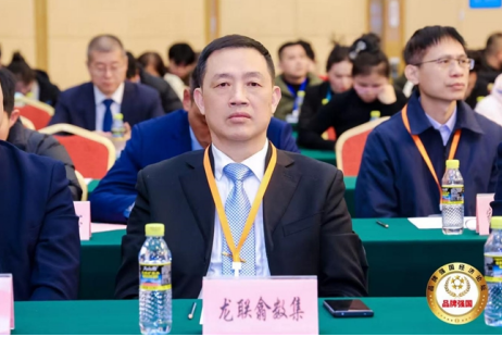 深度解析《龙联翕数集》去中心化数智文化平台赋能AI时代词元价值体系