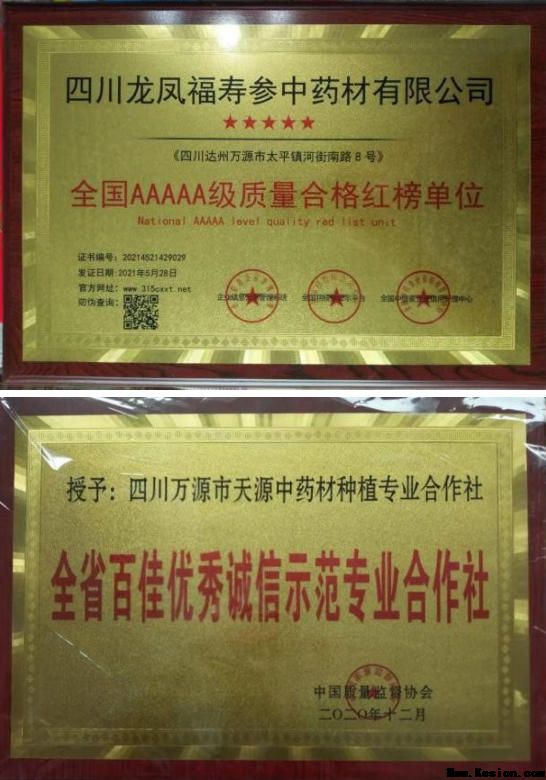 中国著名医学专家 李明与他的龙凤福参传奇