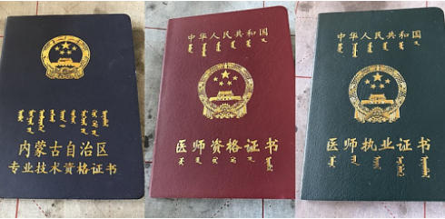大医精诚，仁心济世——中国医疗新闻网特别报道内蒙古中医名家李孝