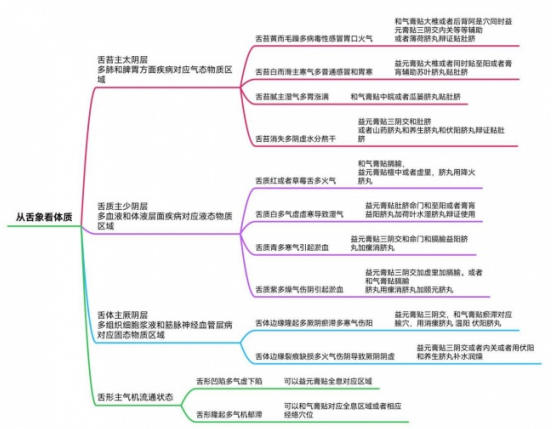 破千年传承之困，立生命医学新篇：王伟清与他的中医秩序革命