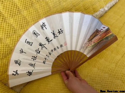 以绿茵为媒、以岐黄为桥 李乘伊携中医国粹亮相 2026 美加墨世界杯