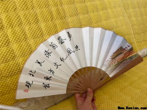 以绿茵为媒、以岐黄为桥 李乘伊携中医国粹亮相 2026 美加墨世界杯