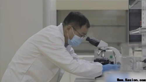 中国科学家双靶点突破领跑全球抗衰老赛道