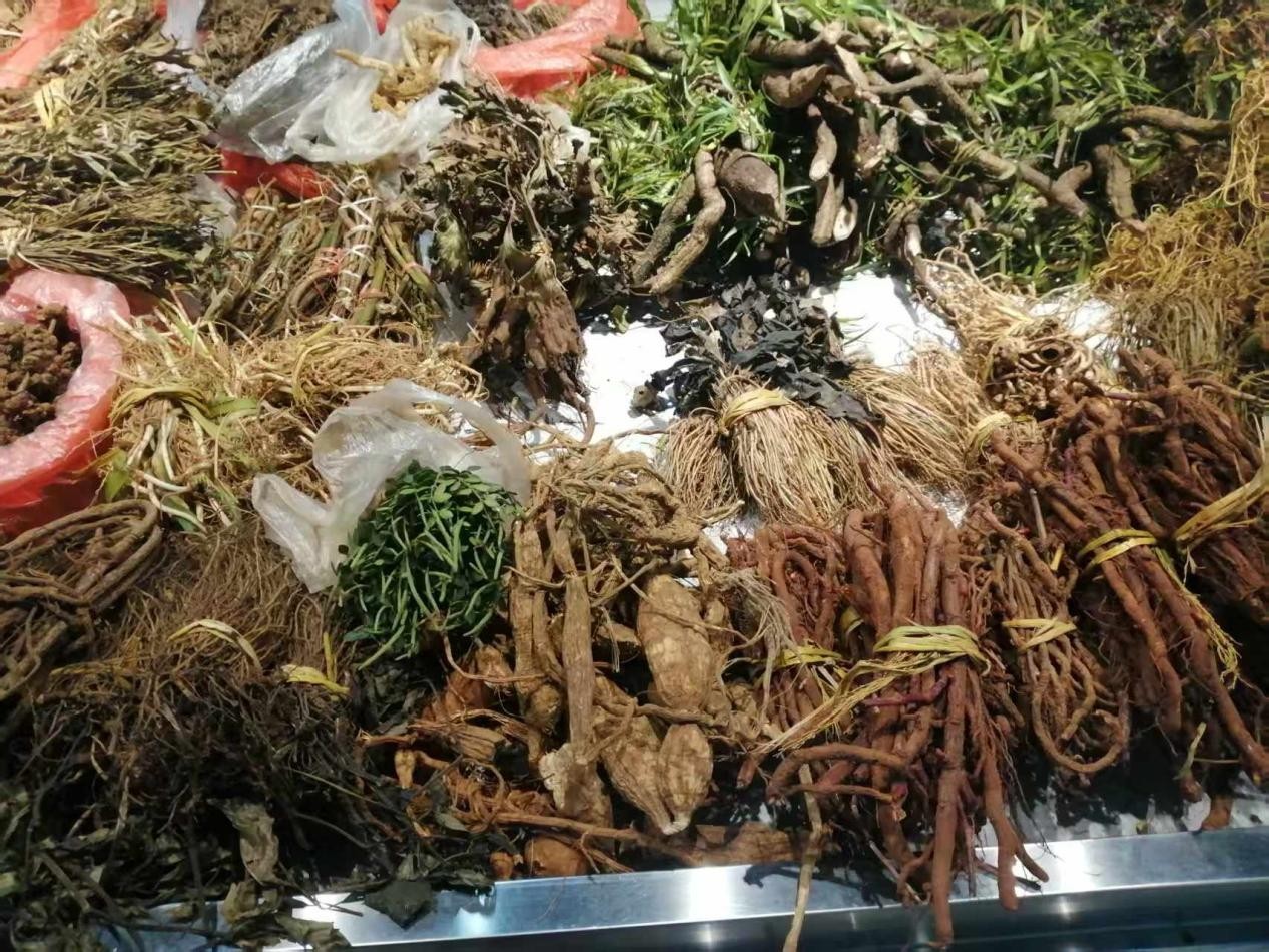 仁心仁术五十载，大医精诚暖滇南——记云南民间中医王世文