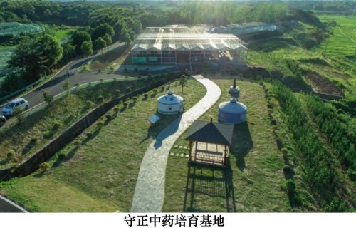 岐黄仁心映国盛 本草传薪庆华诞——蔡锦芳与济世堂蔡氏中医药非遗传承的时代答卷