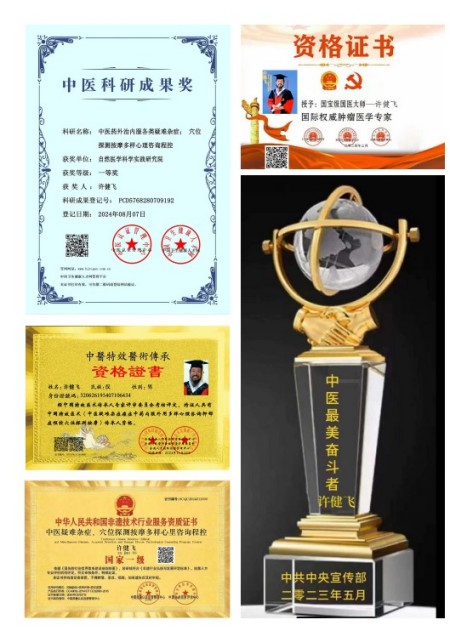 阅兵展国威•文化铸灵魂重点推荐巅峰艺术家——许健飞