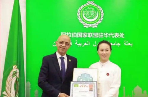 传承千年智慧 谱写时代新篇 国庆专访传统文化当代践行者---张敏娜