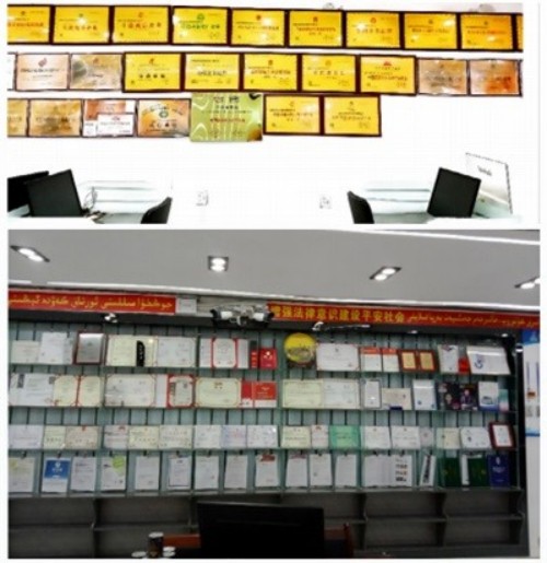 2026年【聚焦两会特别报道】世界名人：阿布都热依木.依力和达围然集团