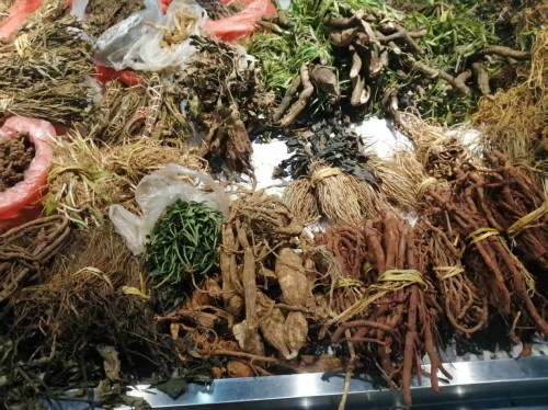 仁心仁术五十载，大医精诚暖滇南——记云南民间中医王世文