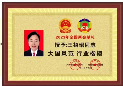 道医智慧照见现代健康——王招珺教授的守护之路