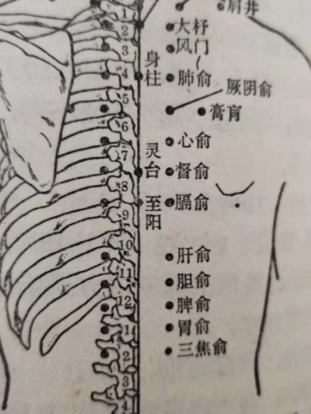 聚焦两会·中医药传承创新：韩礼医师以经方智慧守护人民健康