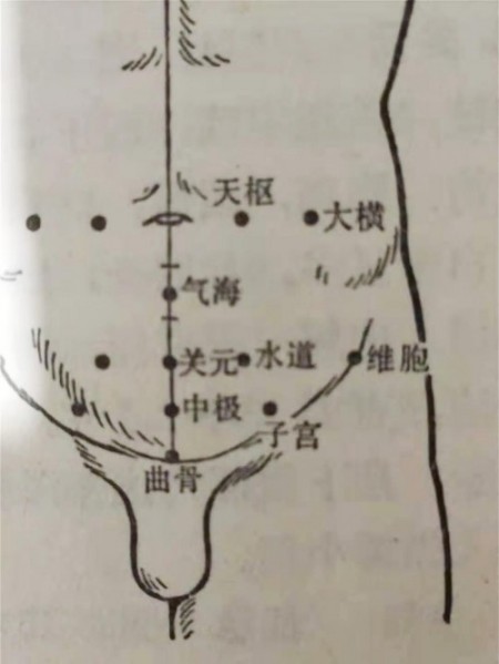 聚焦两会·中医药传承创新：韩礼医师以经方智慧守护人民健康