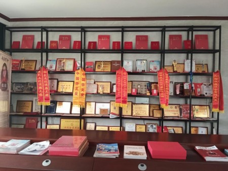 聚焦两会特别报道：张会莲以文化为笔，在时代考卷上书写巾帼担当