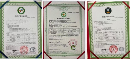 喜迎两会特别报道 生态养殖赋能乡村振兴：湖北乡土优品的“土鸡”突围之路