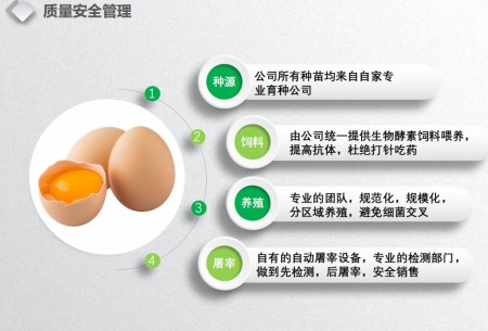 喜迎两会特别报道 生态养殖赋能乡村振兴：湖北乡土优品的“土鸡”突围之路