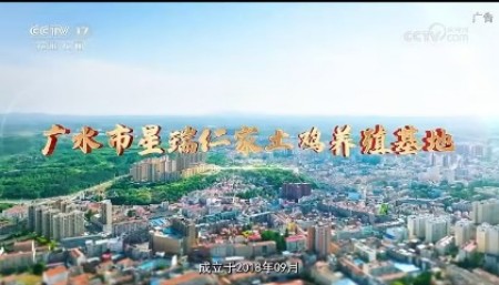 喜迎两会特别报道 生态养殖赋能乡村振兴：湖北乡土优品的“土鸡”突围之路