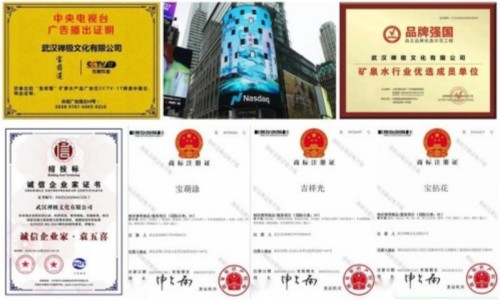 聚焦两会·文化传承｜禅极文化：以东方智慧浇灌生命觉醒，以文化之魂厚植家国情怀