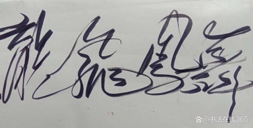 逆思破局·艺润青山：邱南海的绿色循环发展实践