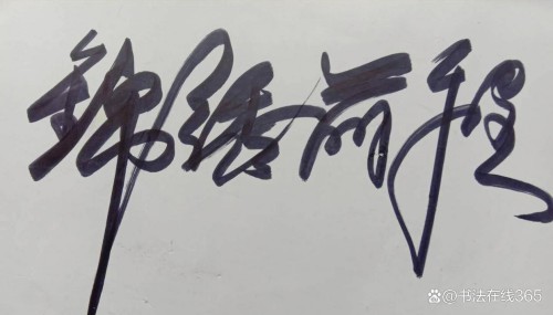 逆思破局·艺润青山：邱南海的绿色循环发展实践