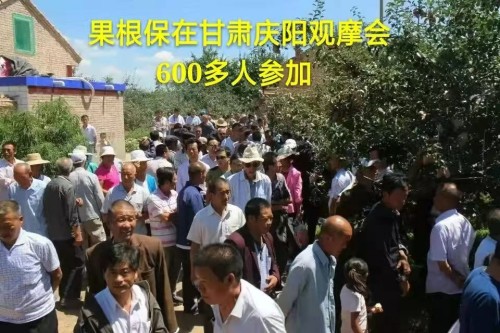 福信大健康产业链口感擂台赛参赛议程 接地气