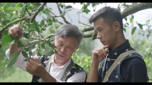 守百年贡茶技艺 传千年茶韵文脉——传奇茶匠李兴昌